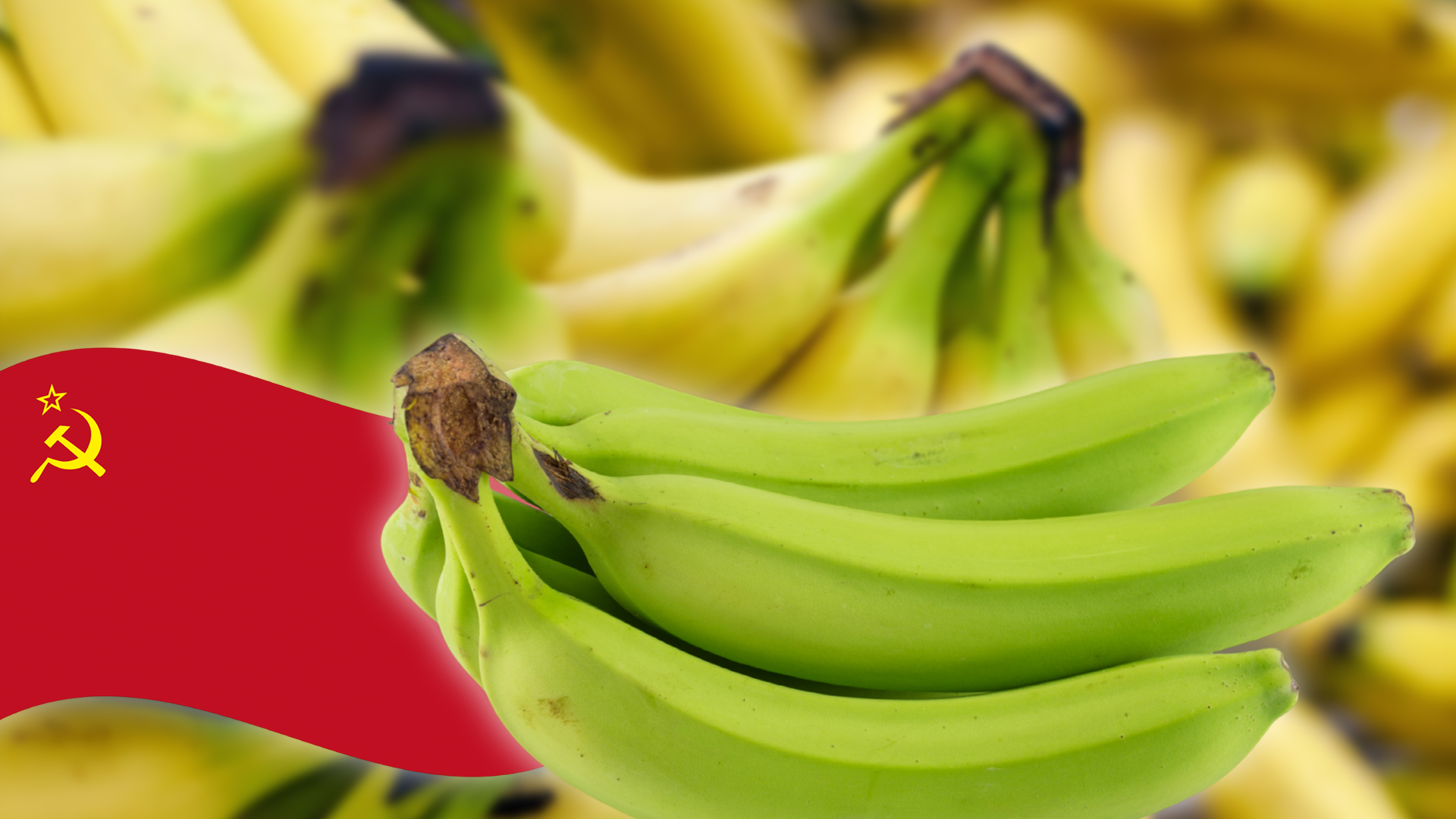 Можно есть зеленые бананы. Интересные факты о бананах. Бананы Коми. Наклейки на бананах. Бананы Эквадор наклейка.