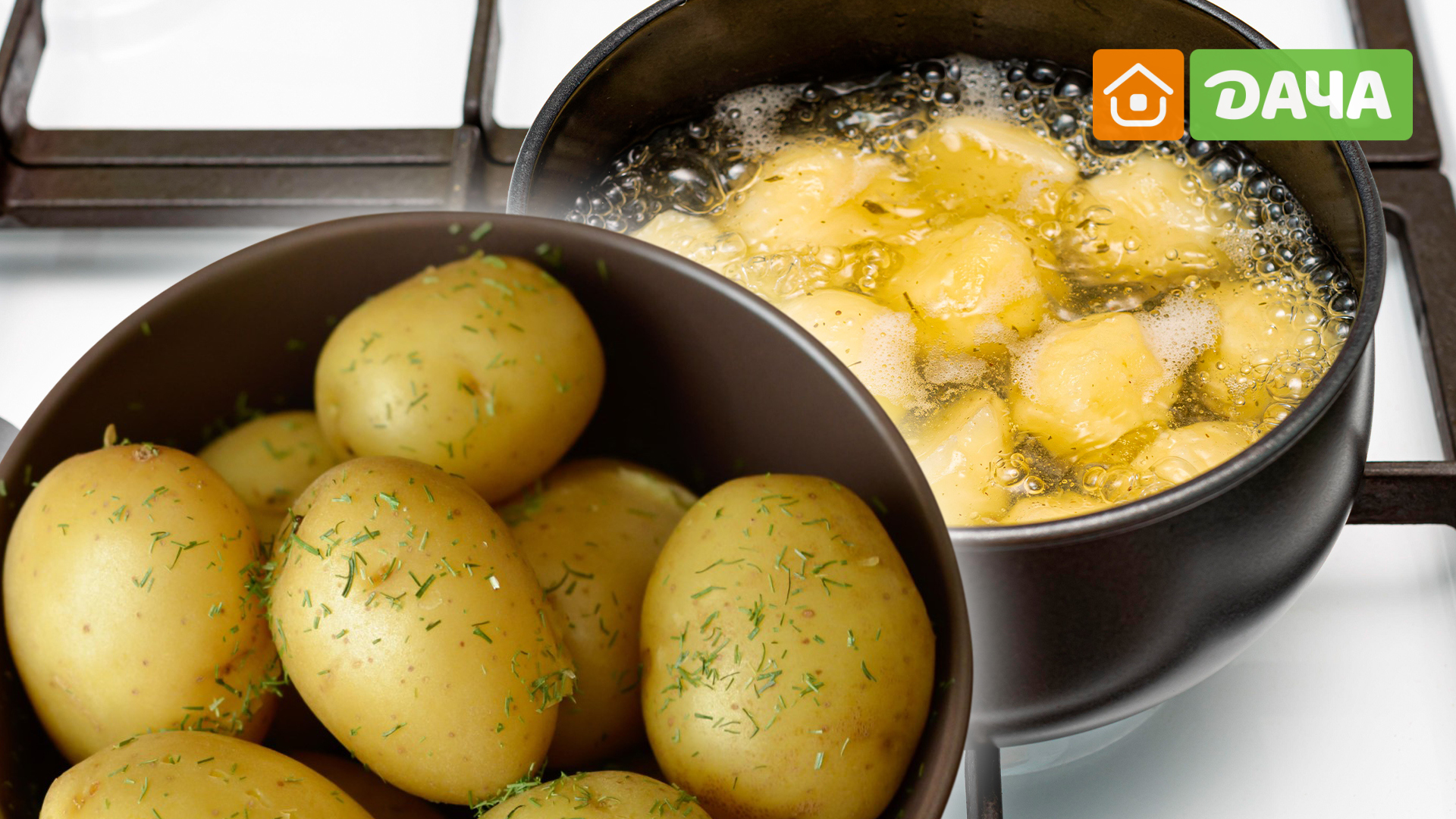 Картошку залило водой. Картофель для варки. Картошка вареная вес. Фигуры из вареного картофеля. Горячая картошка.
